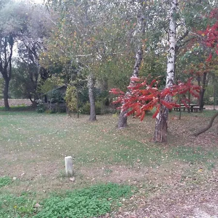 In Birbir Near & Pool 度假居 布里比尔